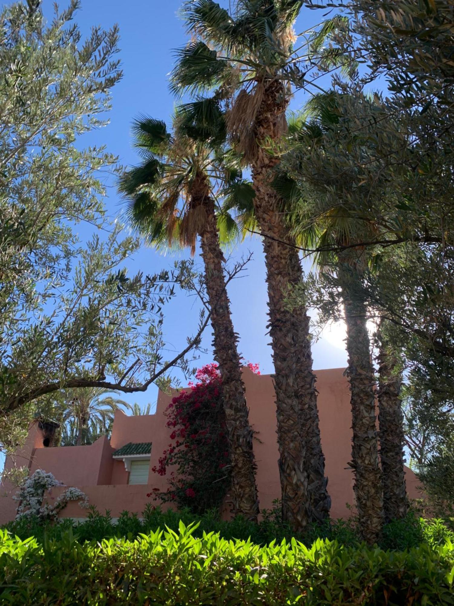 Villa Avec Piscine Privatisee A La Palmeraie Marrakesh Exterior foto